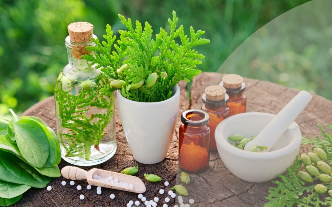 Naturopathie, comment mieux manger pour une vie plus saine