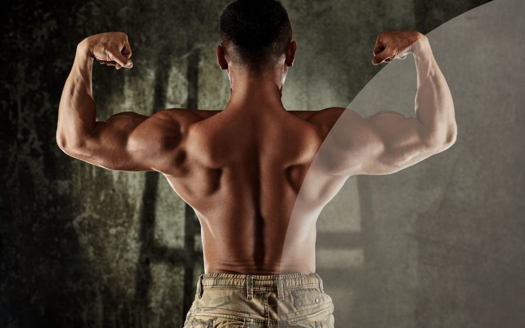 Quand la passion pour la musculation devient une addiction