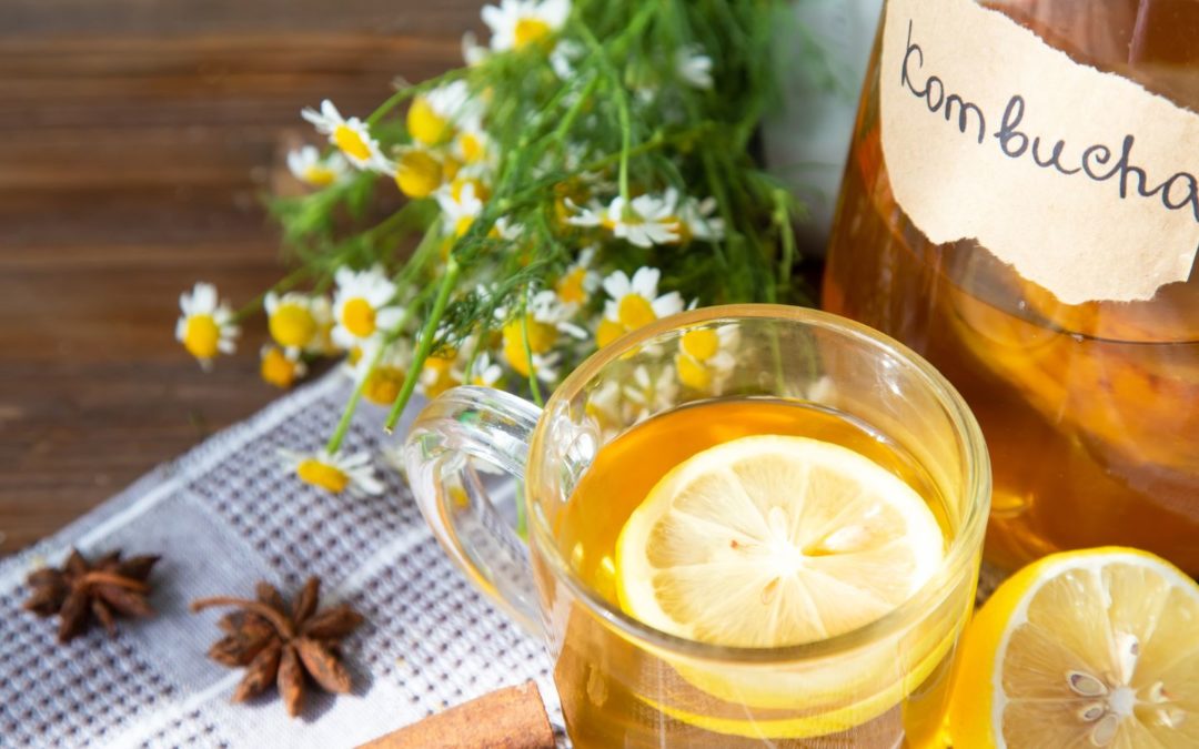 Kombucha fait maison, découvrez tous ses secrets