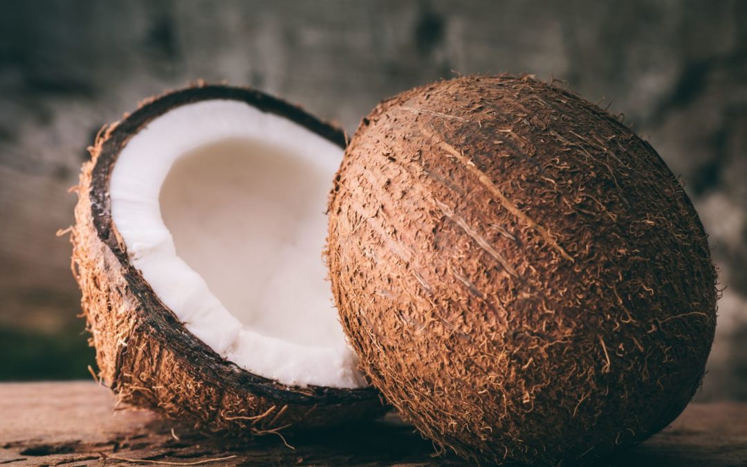 Noix de coco : Découvrez toutes ses richesses et ses utilisations culinaires