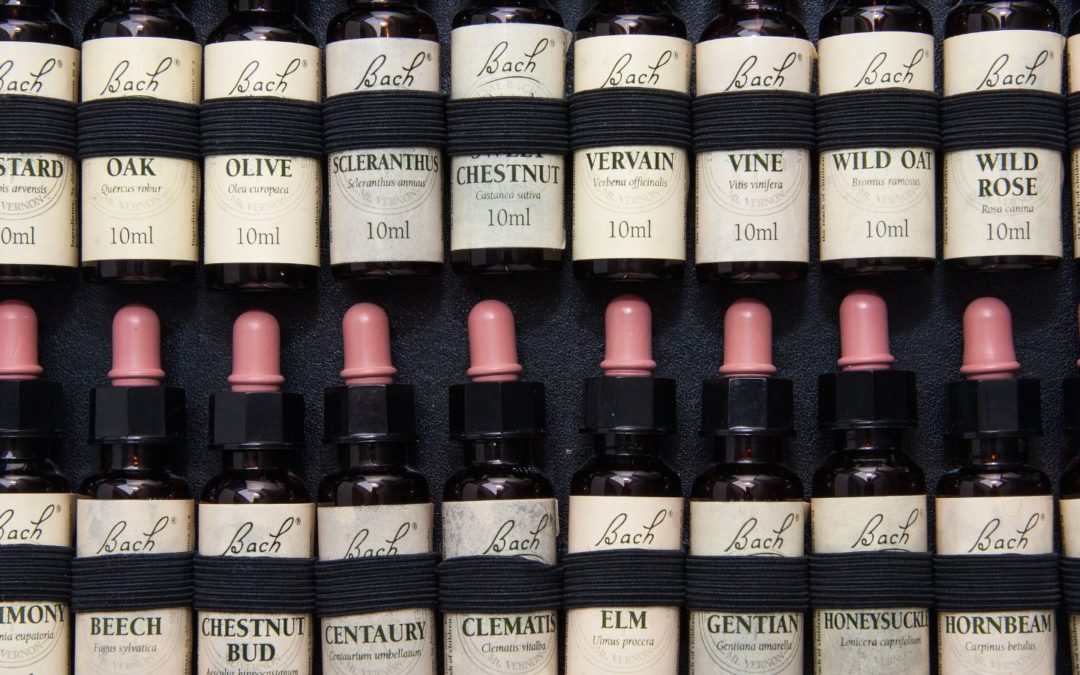 Les fleurs de Bach : secret des stars ou simple placebo ?