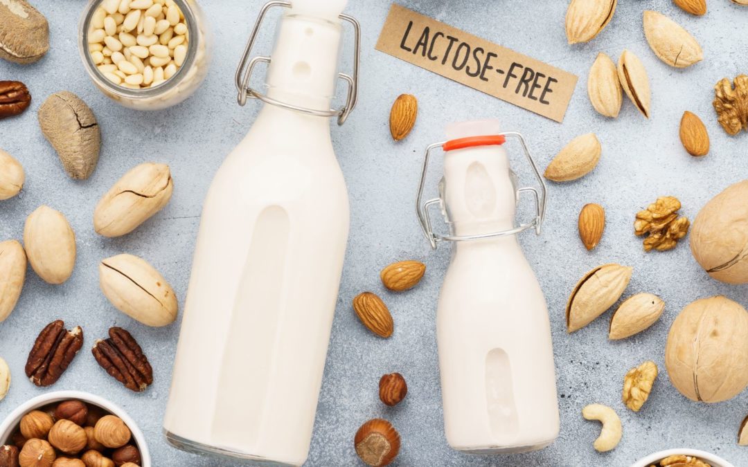 Comprendre et choisir un régime sans lactose : astuces et alternatives