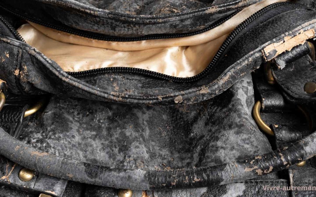 Sauver vos cuirs de la moisissure : astuces pratiques et efficaces