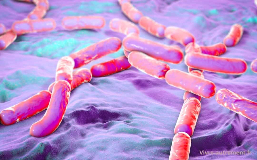 Pâtes et Bacillus cereus, comment éviter les erreurs alimentaires